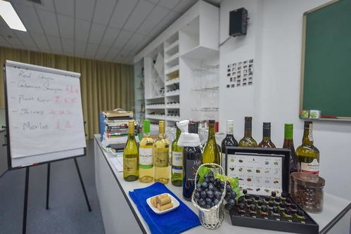 三亚中瑞酒店管理学院丨酒店管理与餐饮管理 全球十大热门行业的双翼